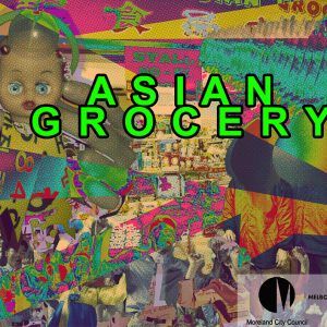 Asian Grocery 2017